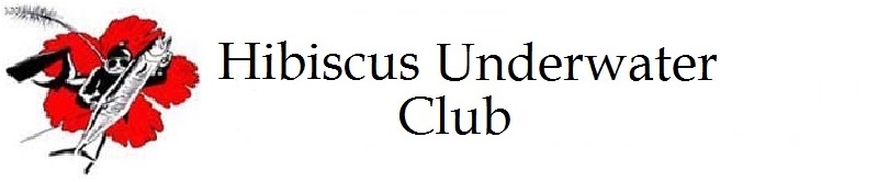 Hibiscus Underwater Club Logo